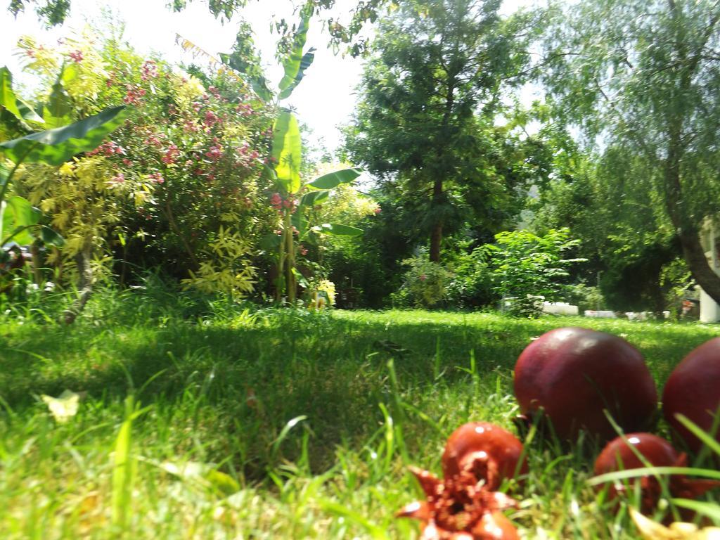 Narli Marmaris